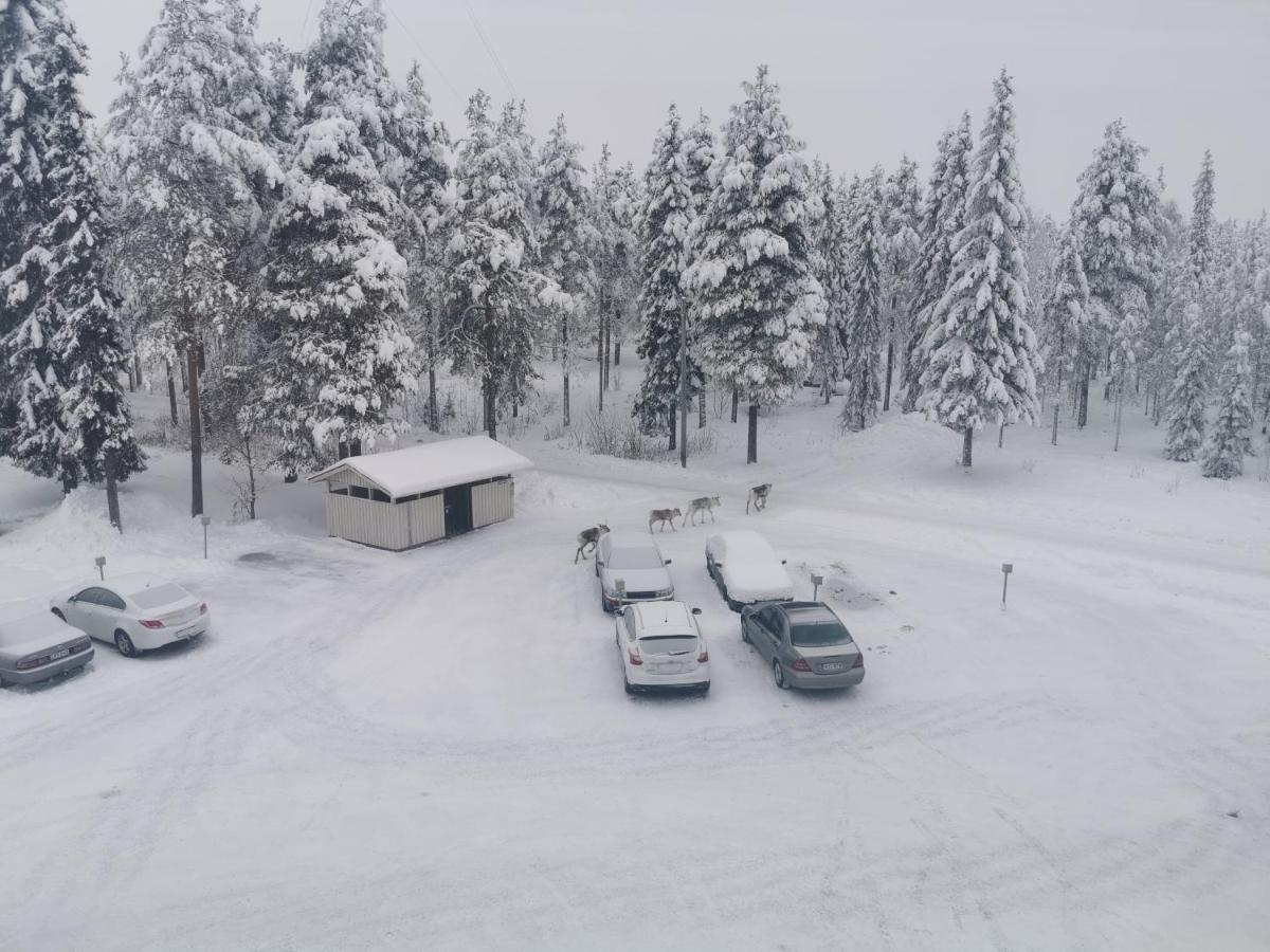 Cozy Korkalovaara Top Floor Apartment Rovaniemi Dış mekan fotoğraf